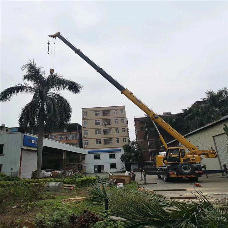 南丰县汽车吊出租多少钱？全面解析与市场行情